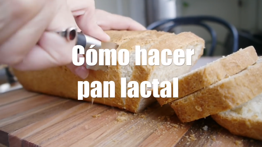 Pan Lactal Casero En 4 Pasos Pan De Molde Casero Paulina Cocina Starchef Recetas De Cocina 2517